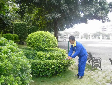 綠化養(yǎng)護如何提高管理水平？